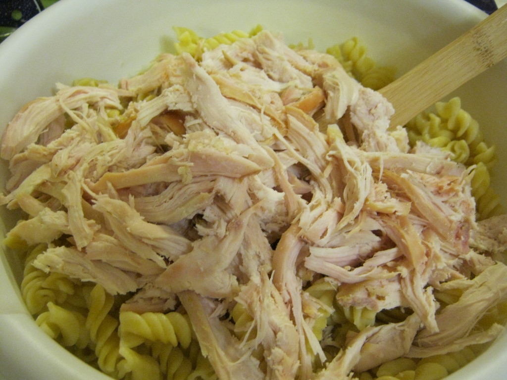 chicken and noodles