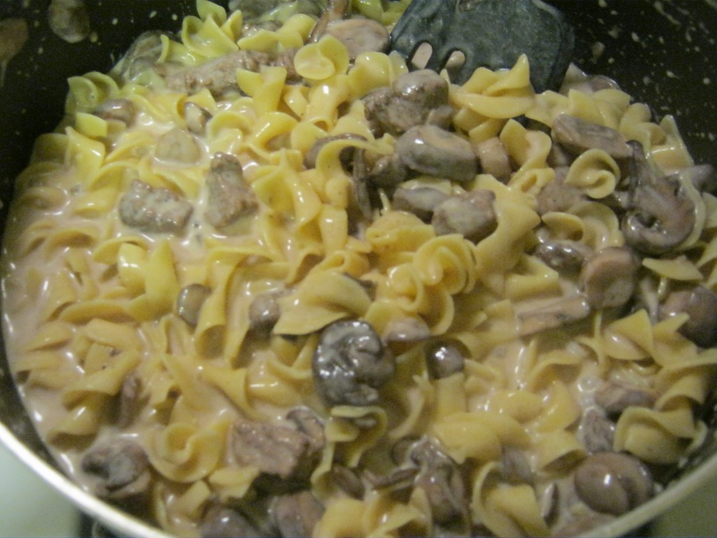 Beef stroganoff with over egg noodles