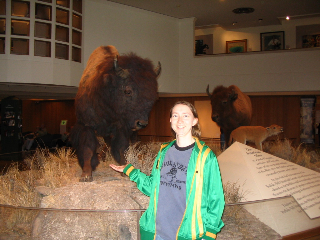 Display of buffalo