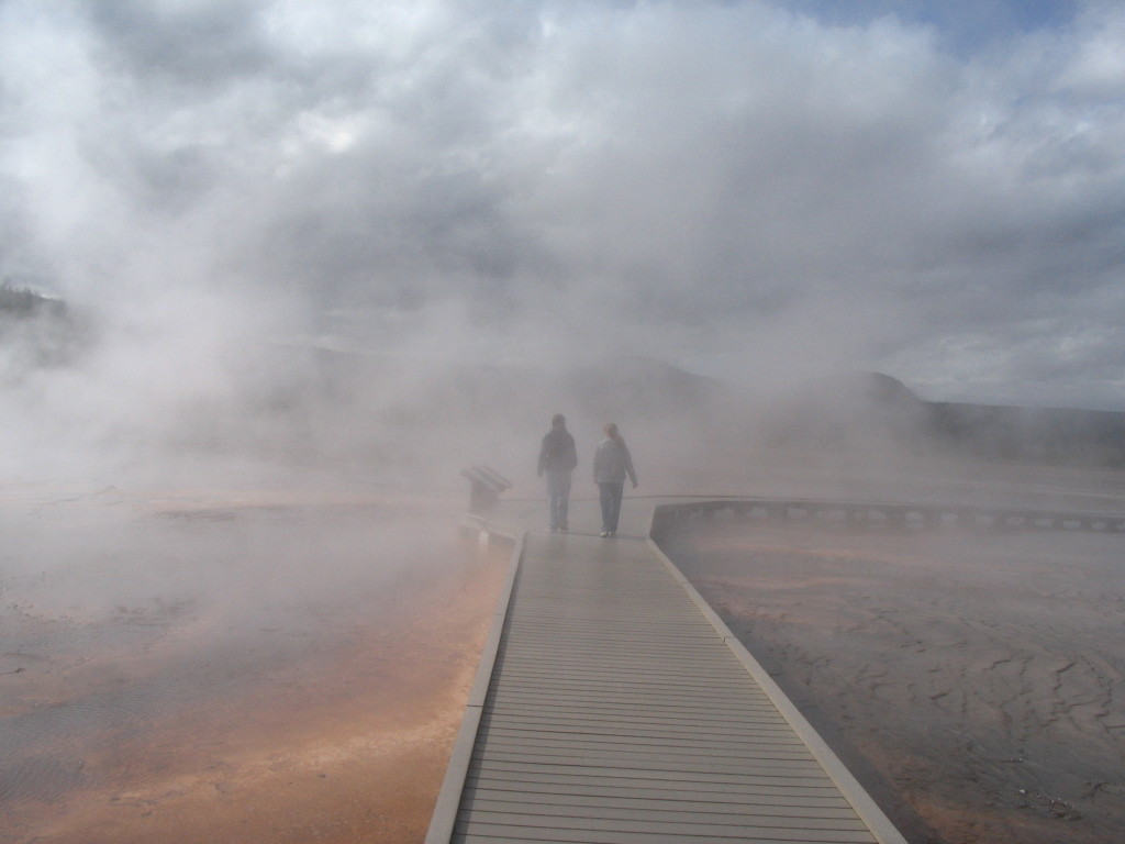 mist and a wooden walkway