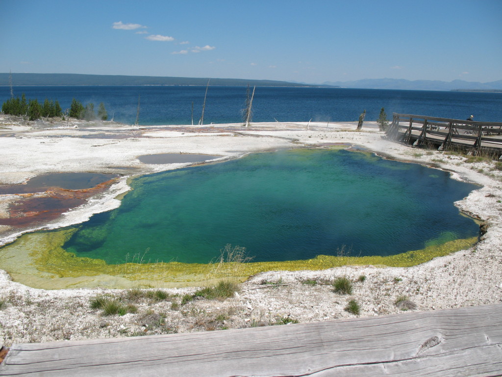 A pool of water in Yellowstone National Park