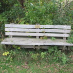 Bench in Afton Park