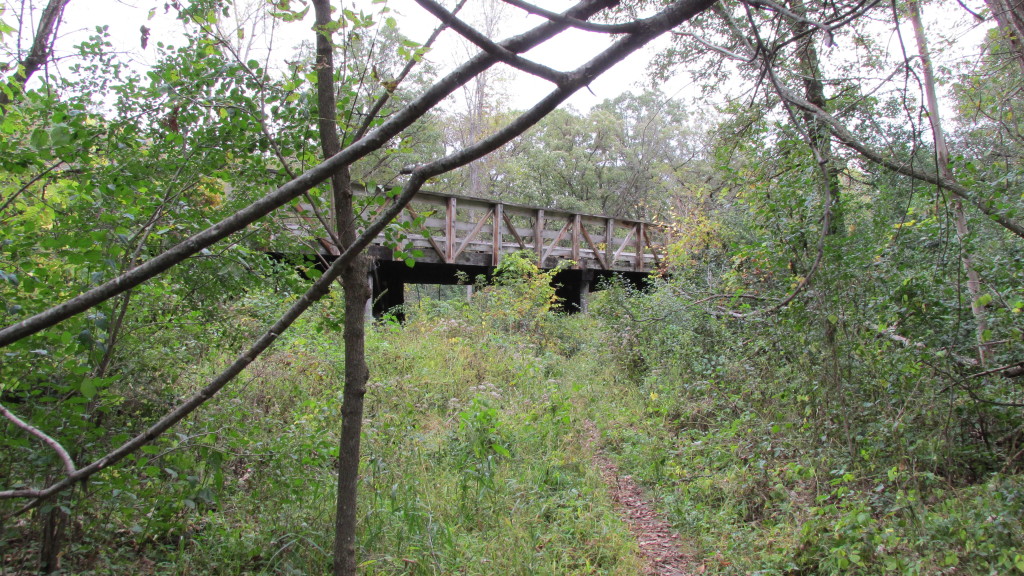 A bridge in Afton State Park