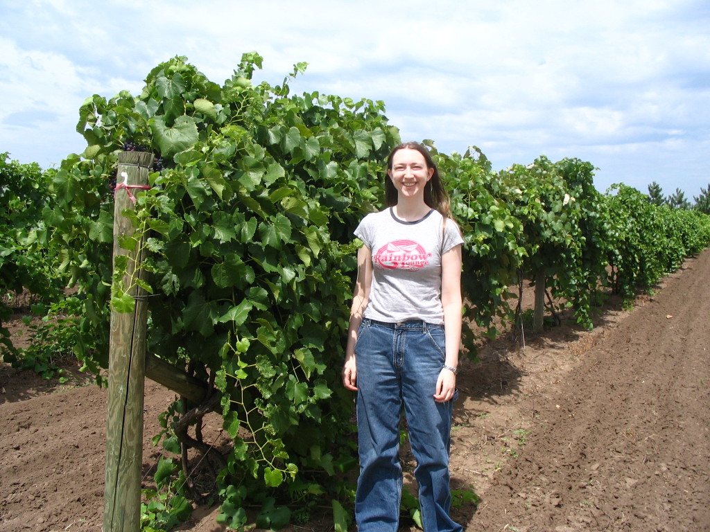 grapevines outside of Alexis Bailly