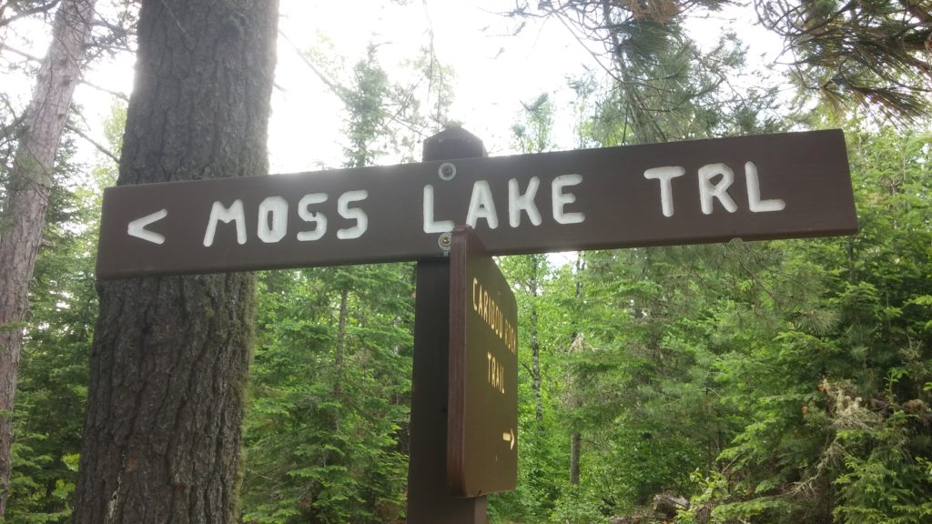 June 2016 294 moss lake trail